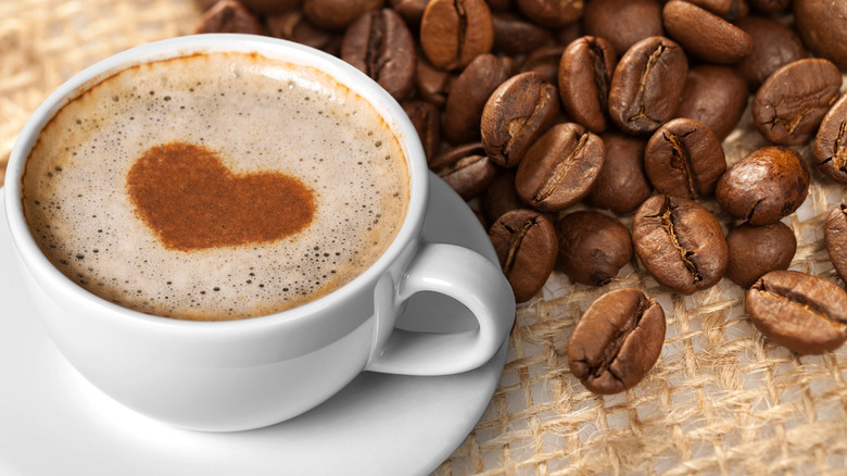 The Ultimate Guide to Brewing the Perfect Cup of Coffee