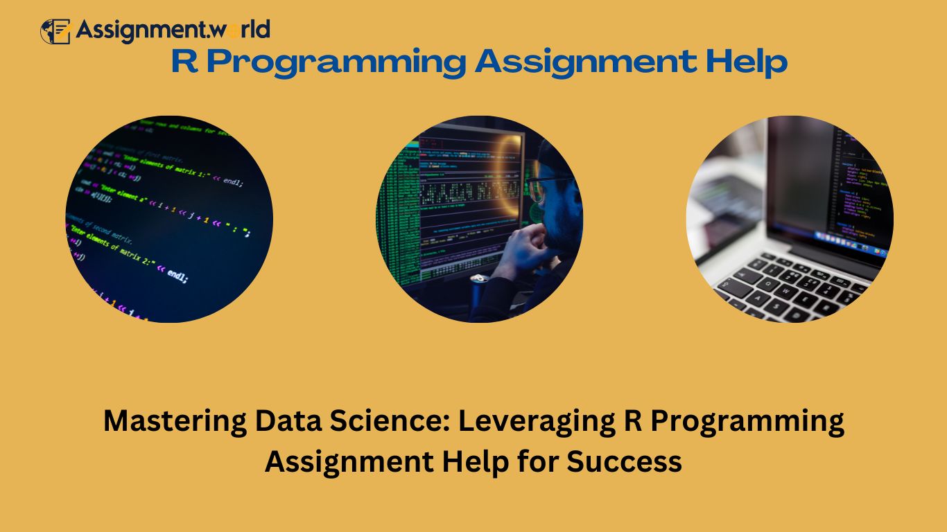 r programming assignment help