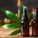 Understanding the Benefits of Hemp-Derived Products: Unlocking Wellness